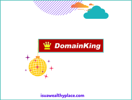 Domainking.ng Review