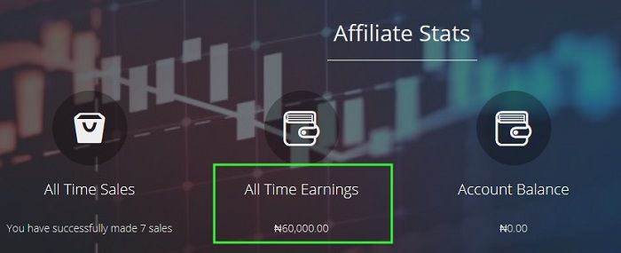 expertnaire affiliate website earnings