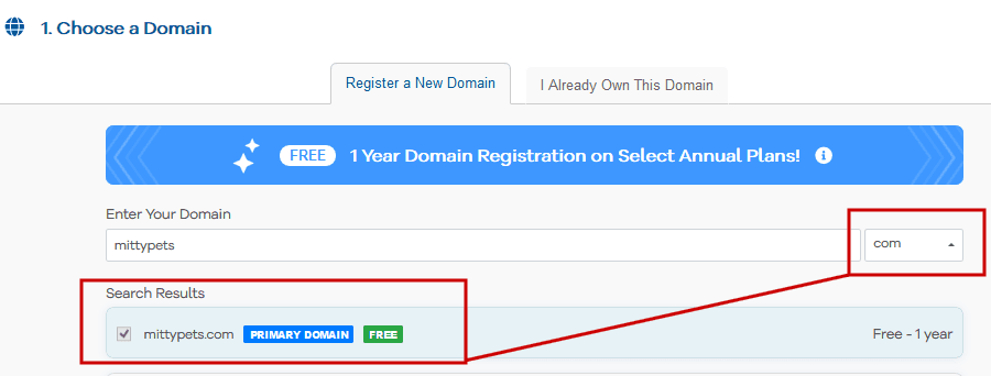 choose-a-domain-name
