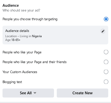 Facebook ad audience targeting in Nigeria